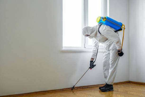  Georgetown, CO Pest Control Pros