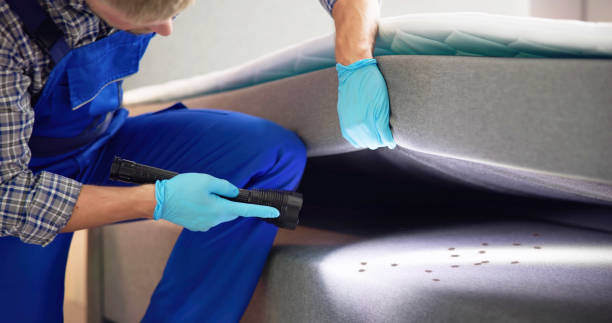 Best Bed Bug Extermination  in Georgetown, CO